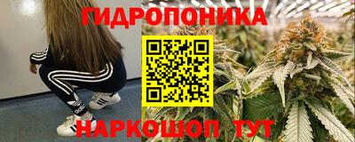 соль ск Дубна