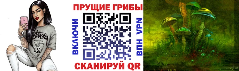 Галлюциногенные грибы GOLDEN TEACHER  Кузнецк 