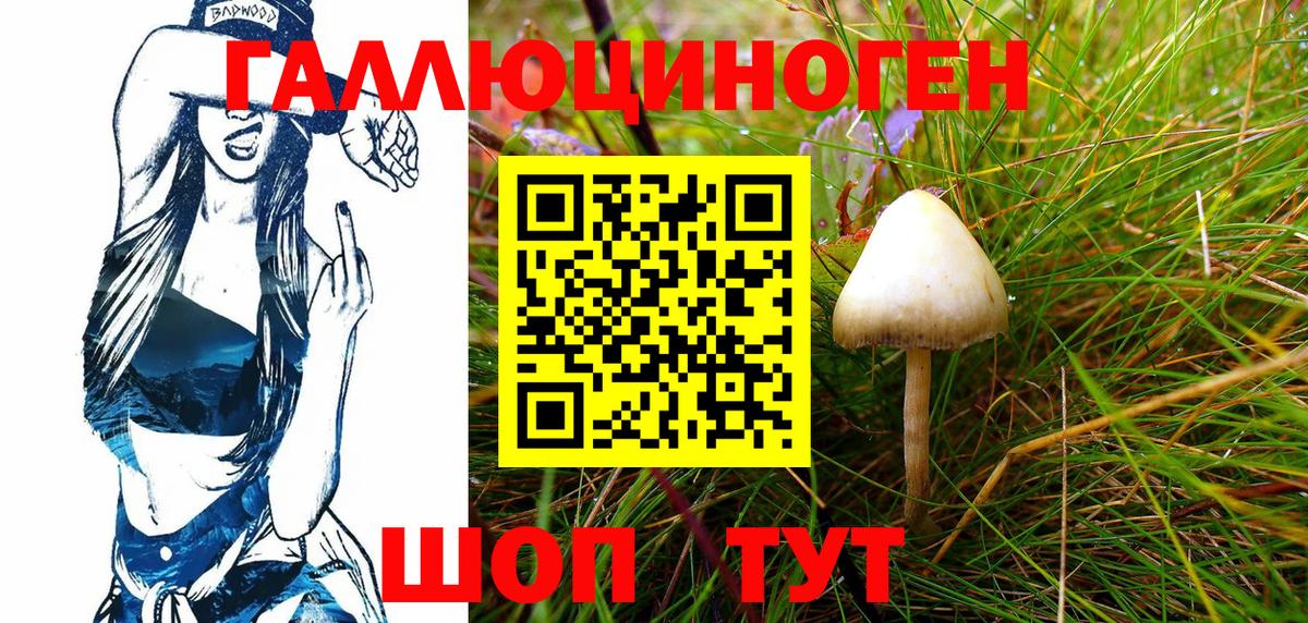 Галлюциногенные грибы MAGIC MUSHROOMS Кузнецк