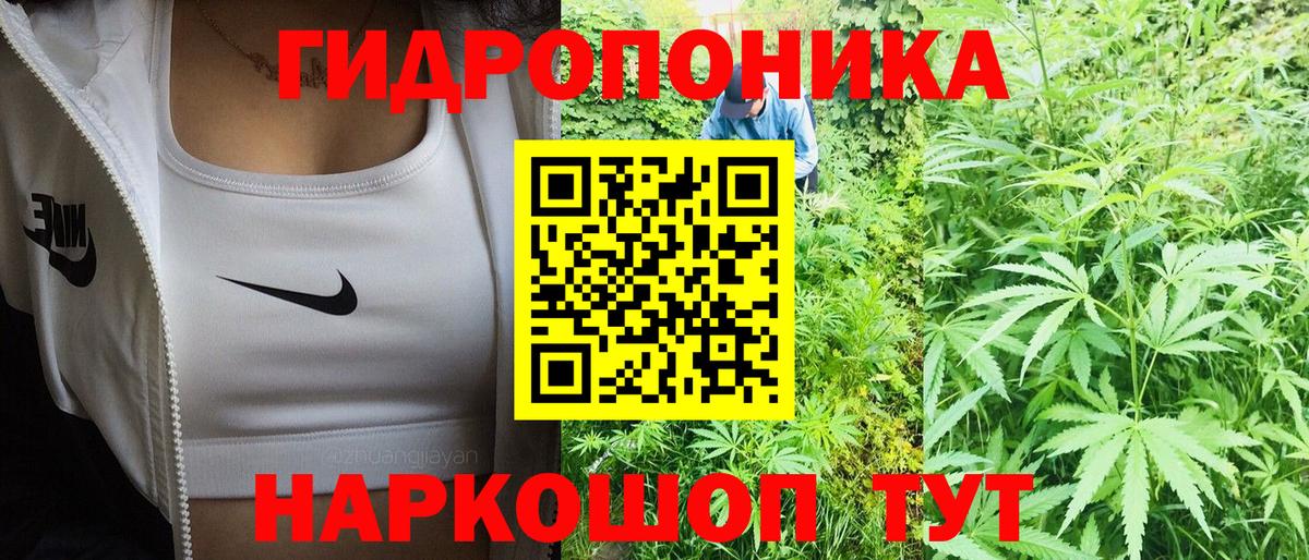 Кузнецк  Бошки Шишки план  Вход с VPN  МАРИХУАНА марихуана  Бошки марихуана Amnesia 