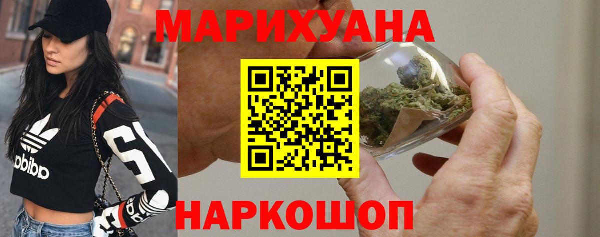 Конопля сатива Кузнецк